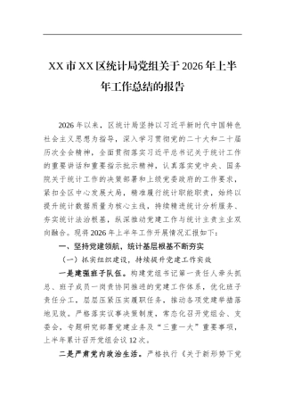 市区统计局党组关于2026年上半年工作总结的报告