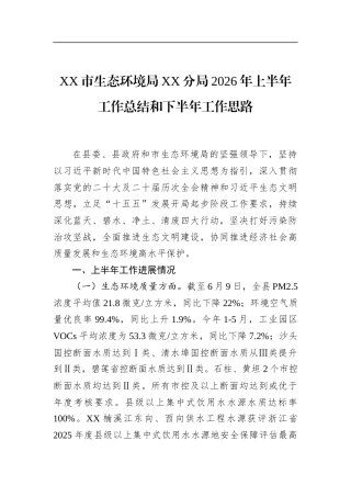 市生态环境局分局2026年上半年工作总结和下半年工作思路