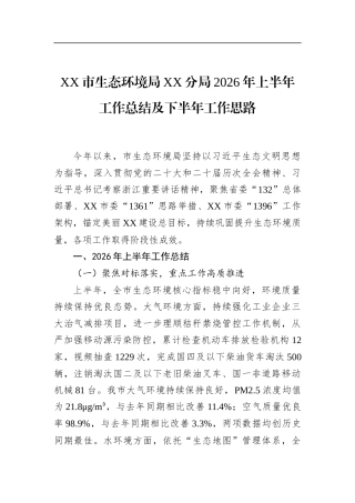 市生态环境局分局2026年上半年工作总结及下半年工作思路