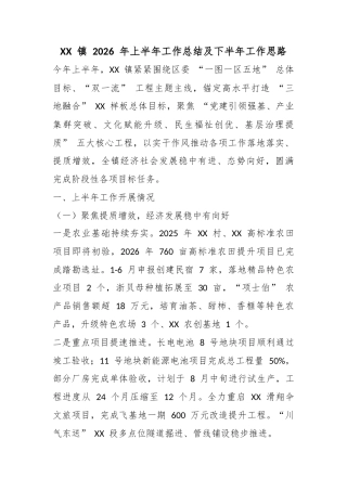 镇2026年上半年工作总结及下半年工作思路