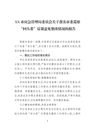 XX市应急管理局委员会关于落实市委巡察“回头看”反馈意见整改情况的报告