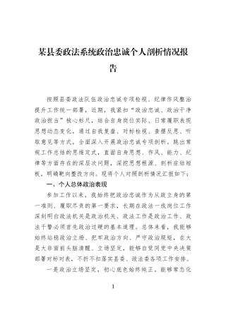 某县委政法系统政治忠诚个人剖析情况报告