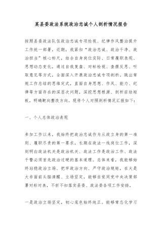 某县委政法系统政治忠诚个人剖析情况报告