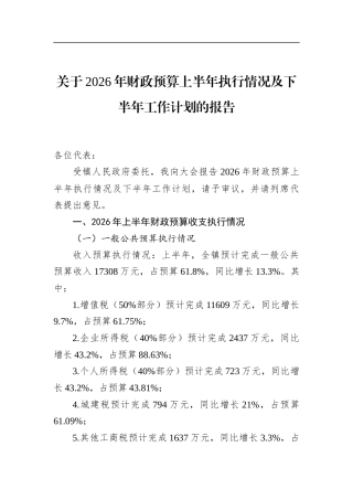 关于2026年财政预算上半年执行情况及下半年工作计划的报告