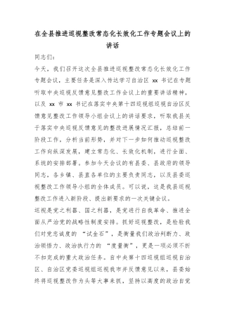 在全县推进巡视整改常态化长效化工作专题会议上的讲话
