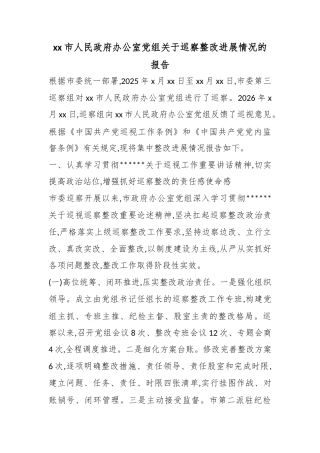 市人民政府办公室党组关于巡察整改进展情况的报告