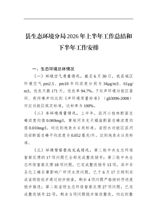 县生态环境分局2026年上半年工作总结和下半年工作安排
