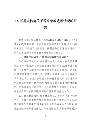 XX区委宣传部关于巡察整改进展情况的报告
