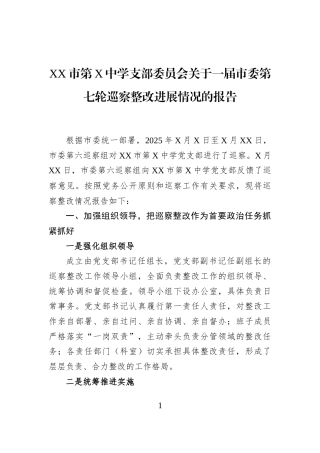 XX市第X中学支部委员会关于一届市委第七轮巡察整改进展情况的报告