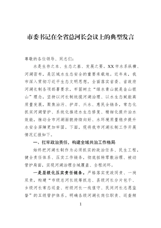 市委书记在全省总河长会议上的典型发言