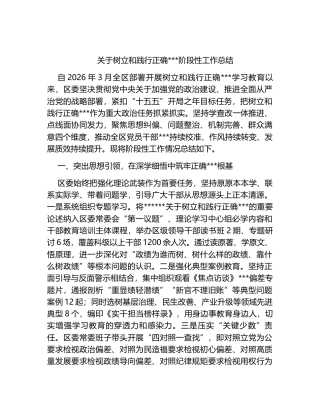 关于树立和践行正确政绩观阶段性工作总结