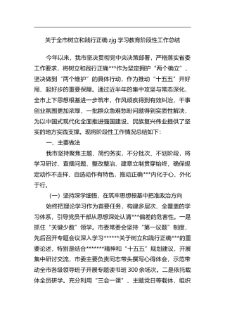 关于全市树立和践行正确政绩观学习教育阶段性工作总结