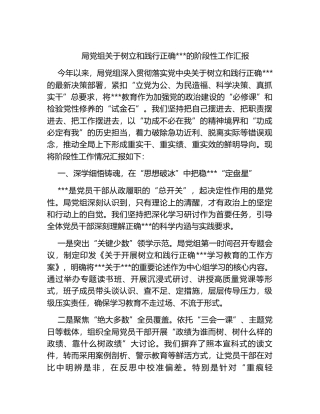 局党组关于树立和践行正确政绩观的阶段性工作汇报
