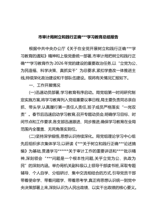 市审计局树立和践行正确政绩观学习教育总结报告