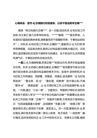 心得体会：坚守党建引领践行纪检使命，以实干担当筑牢正确政绩观
