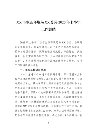 XX市生态环境局XX分局2026年上半年工作总结