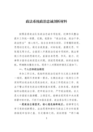 政法系统政治忠诚剖析材料