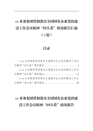 水务集团贯彻落实全国国有企业党的建设工作会议精神“回头看”情况报告汇编（3篇）