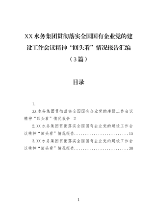XX水务集团贯彻落实全国国有企业党的建设工作会议精神“回头看”情况报告汇编（3篇）