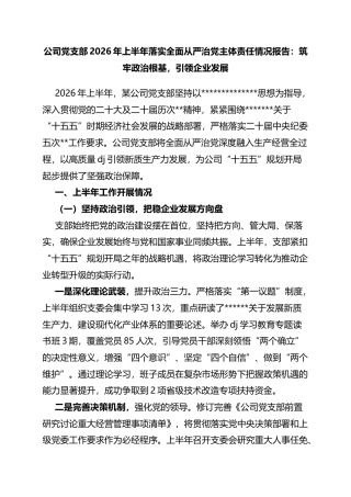 公司党支部2026年上半年落实全面从严治党主体责任情况报告：筑牢政治根基，引领企业发展