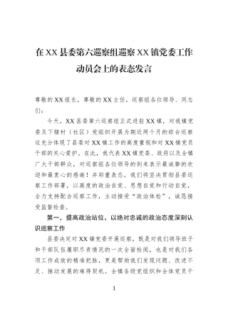 在XX县委第六巡察组巡察XX镇党委工作动员会上的表态发言