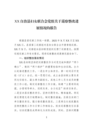 XX自治县妇女联合会党组关于巡察整改进展情况的报告