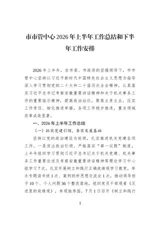 市市管中心2026年上半年工作总结和下半年工作安排