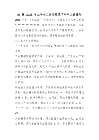 镇2026年上半年工作总结及下半年工作计划