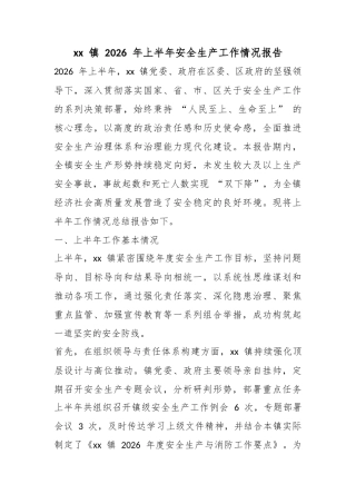 镇2026年上半年安全生产工作情况报告