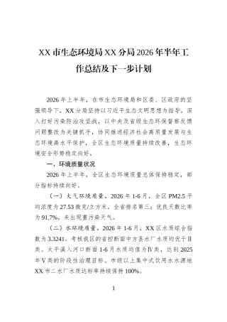 XX市生态环境局XX分局2026年半年工作总结及下一步计划