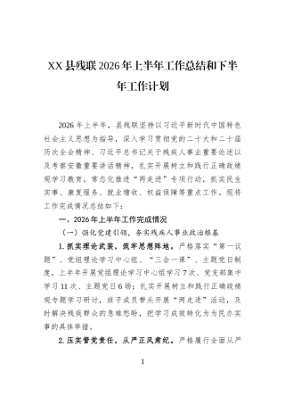 XX县残联2026年上半年工作总结和下半年工作计划