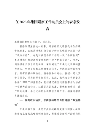 在2026年集团巡察工作动员会上的表态发言