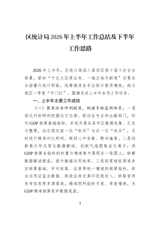 区统计局2026年上半年工作总结及下半年工作思路