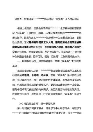 公司关于贯彻落实党党重要指示批示精神“回头看”工作情况报告