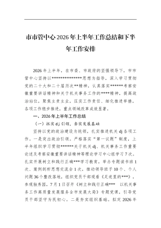市市管中心2026年上半年工作总结和下半年工作安排