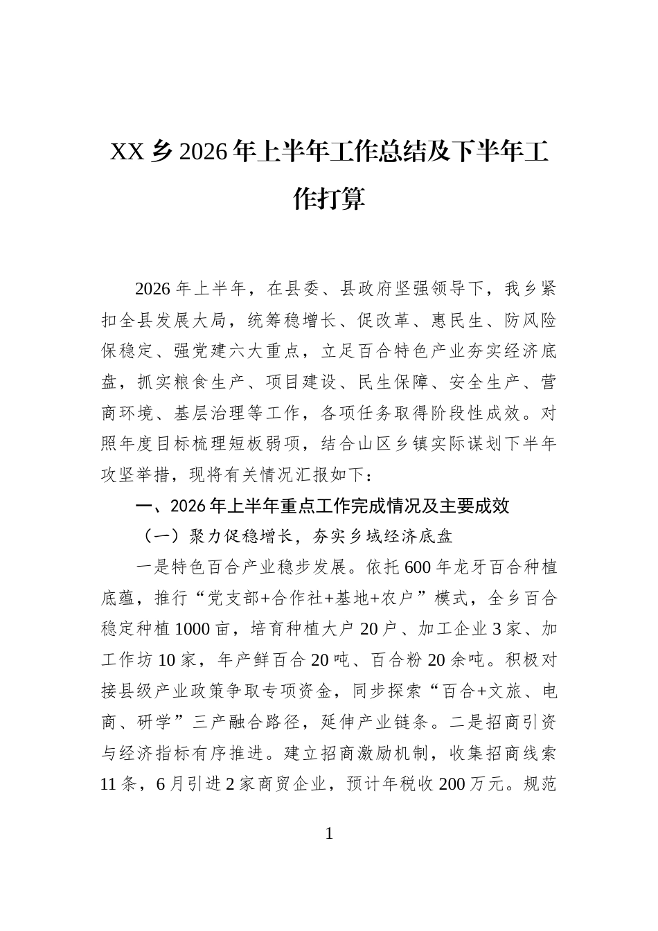 XX乡2026年上半年工作总结及下半年工作打算_第1页