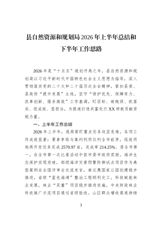 县自然资源和规划局2026年上半年总结和下半年工作思路