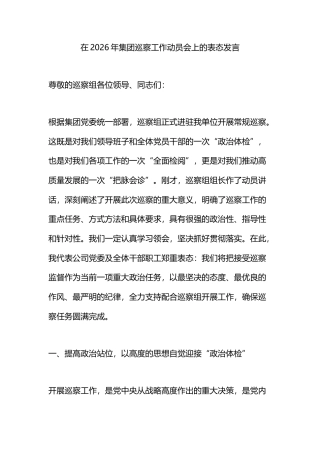 在2026年集团巡察工作动员会上的表态发言