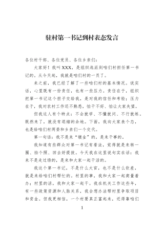驻村第一书记到村表态发言