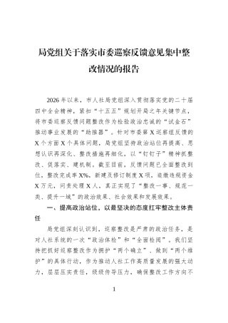局党组关于落实市委巡察反馈意见集中整改情况的报告