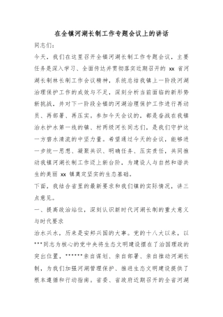 在全镇河湖长制工作专题会议上的讲话