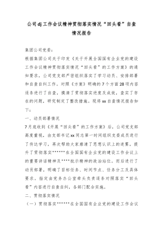 公司党建工作会议精神贯彻落实情况“回头看”自查情况报告