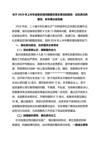 关于2026年上半年巡察反馈问题整改落实情况的报告：压实责任抓整改，标本兼治促发展