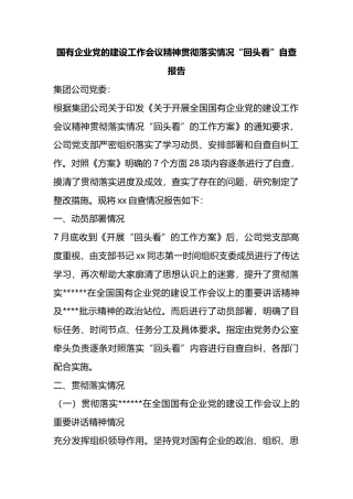 国有企业党的建设工作会议精神贯彻落实情况“回头看”自查报告