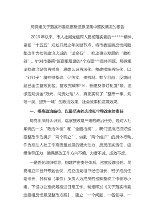 局党组关于落实市委巡察反馈意见集中整改情况的报告