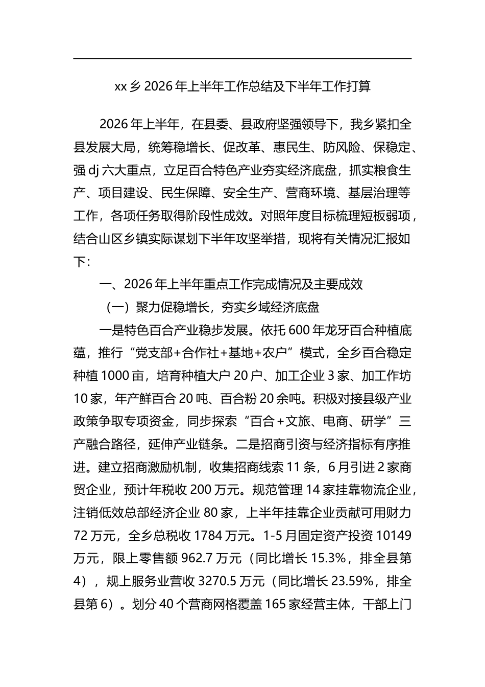 XX乡2026年上半年工作总结及下半年工作打算计划_第1页