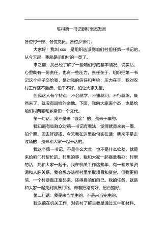 驻村第一书记到村表态发言