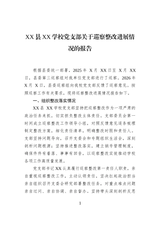 XX县XX学校党支部关于巡察整改进展情况的报告