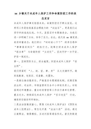 乡镇关于未成年人保护工作和命案防控工作的表态发言