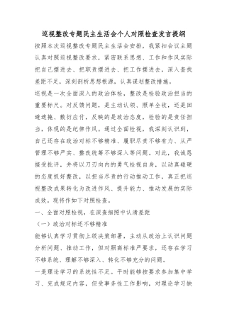 巡视整改专题民主生活会个人对照检查发言提纲